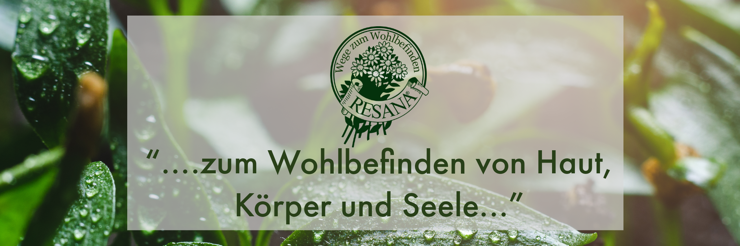 Folgt uns auf Instagram Folgt uns auf Instagram